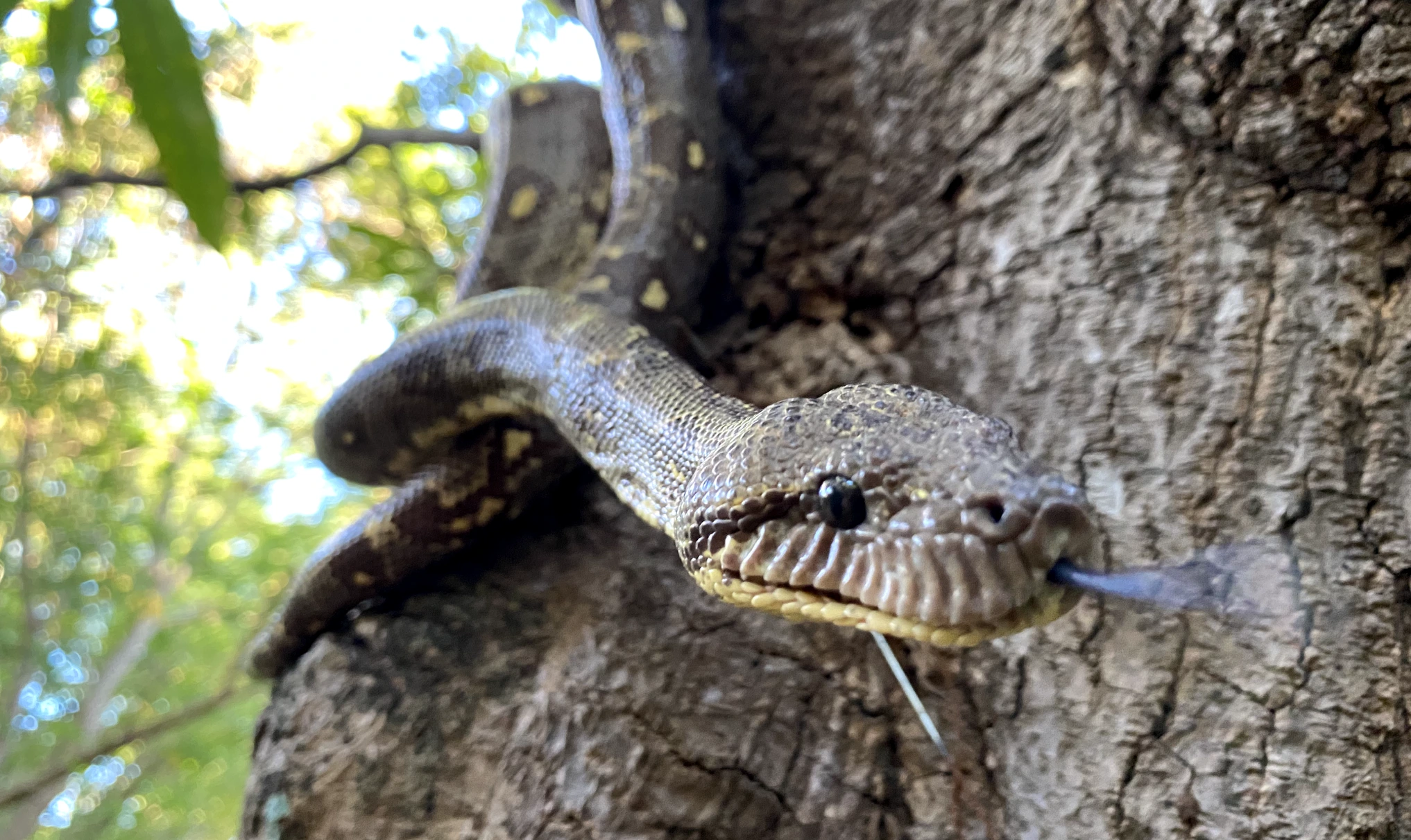 Earth Broadband - Our Mission